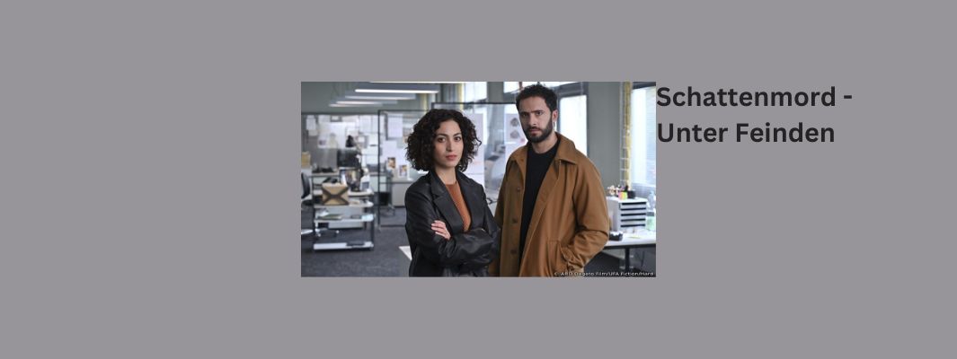Schattenmord - Unter Feinden